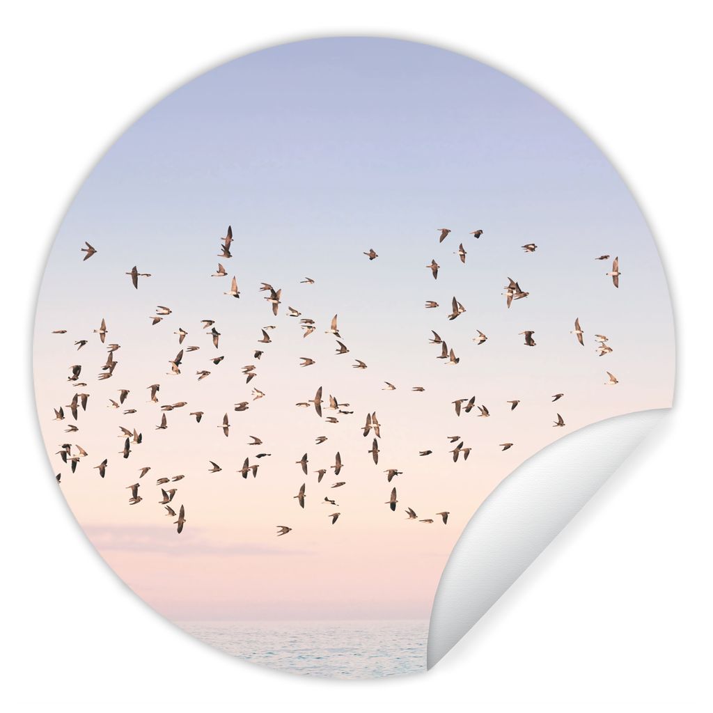 MuchoWow Runde Wandtattoo - Wandsticker Tapete Aufkleber Vögel - Meer - Himmel - Natur - Sommer Ø 30 cm Selbstklebend und Repositionierbar - Wa...