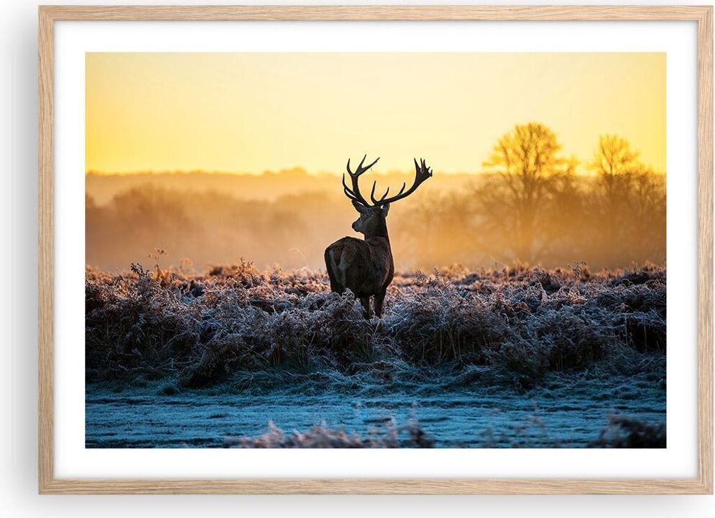 Gerahmtes Poster - Rahmen in heller Eiche - Feld Nebel Natur Baum - 70x50 cm - Wand Bild - Wanddeko - Wandbilder - Wandposter - Bilderrahmen - Bild...