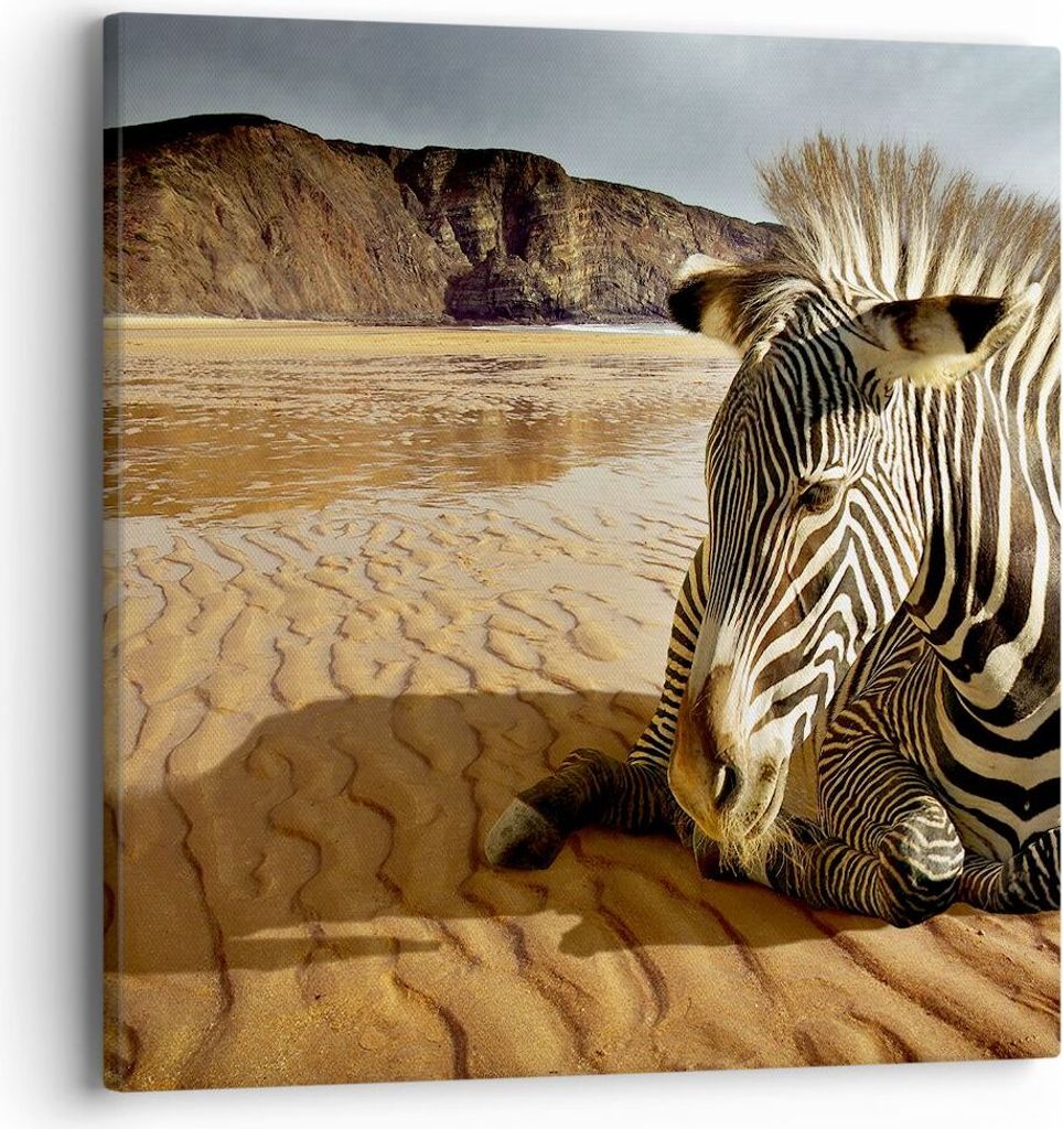 Bild auf Leinwand - Leinwandbild - Zebra Strand Landschaft Produktbild 