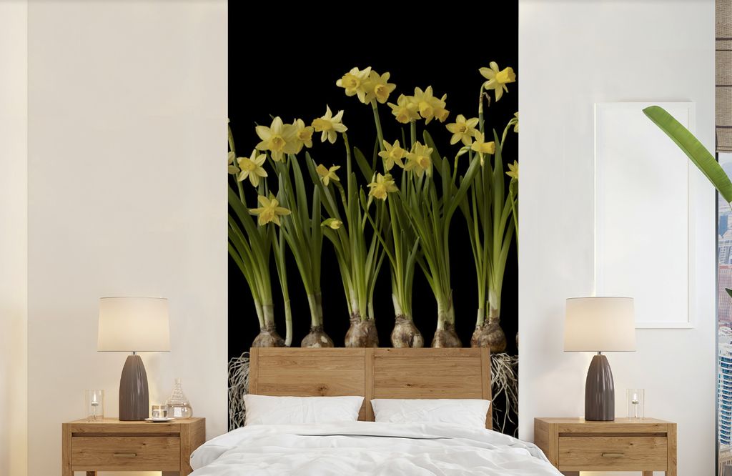 MuchoWow Fototapete für Wohnzimmer oder Schlafzimmer Wandtapete Vinyl Motivtapete Mehrere Narzissen mit Zwiebeln auf schwarzem Hintergrund - 120...