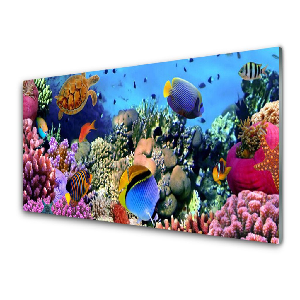 Glasbilder Wandbild Druck auf Glas 120x60 Korallenriff Landschaft 