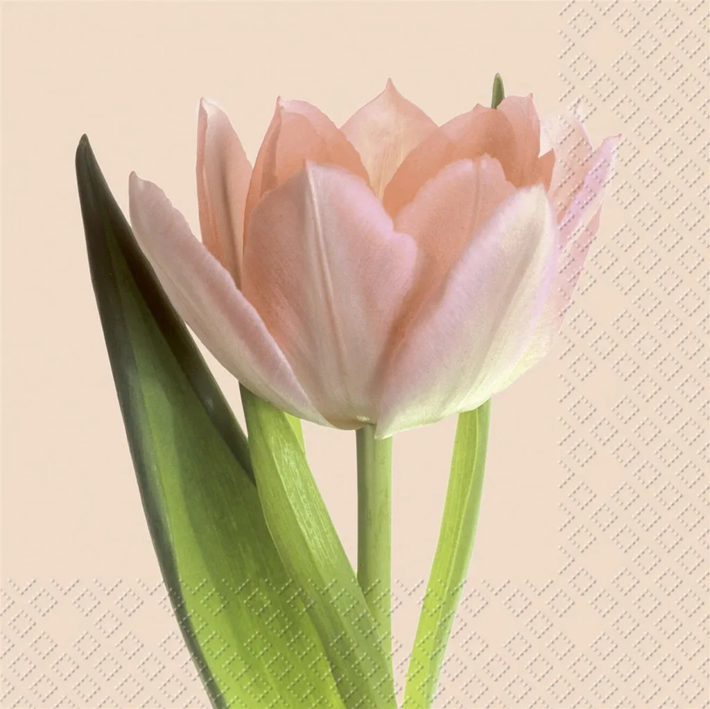 Serviettes de table en papier jetables motif Tulipes - Format 33x33cm