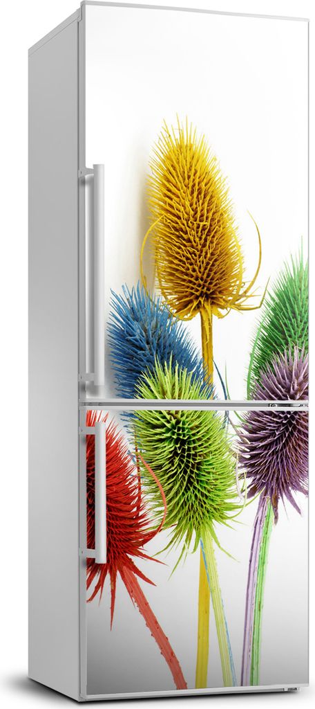 Tulup Kühlschrankdekoration - 70x190 cm - Aufkleber auf dem Kühlschrank - Distel