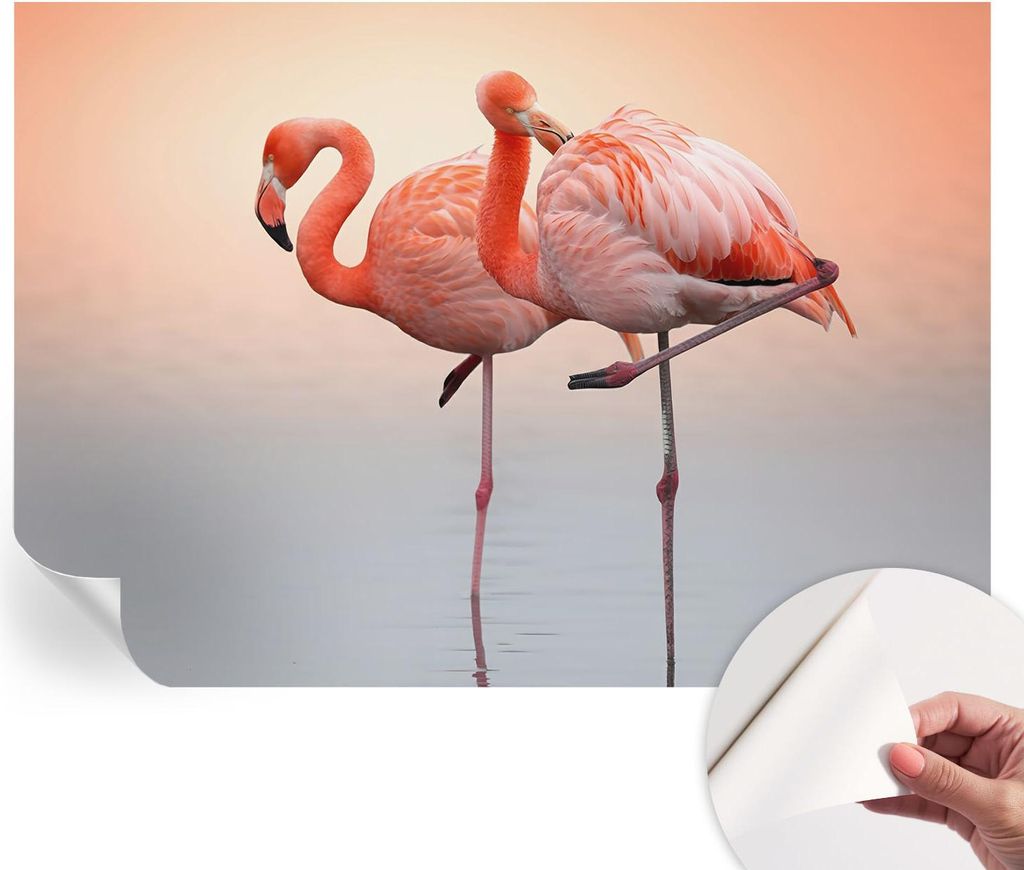 Selbstklebende Wandtapete - Dekorative Tapete für Wohnzimmer - Klebefolie für Wandbilder - Tapetenfolie für Wanddekoration - 208x146 cm - Zarte ...