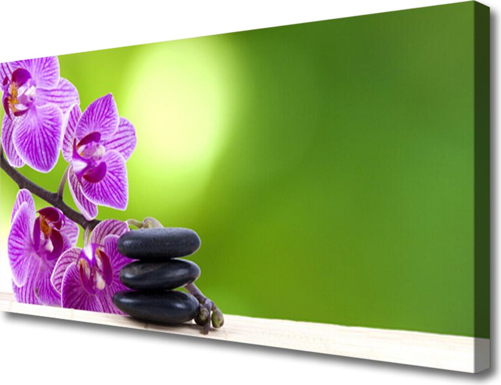 Tulup Leinwand-Bilder 100x50 Wandbild Canvas Kunstdruck Blumen Steine Pflanzen
