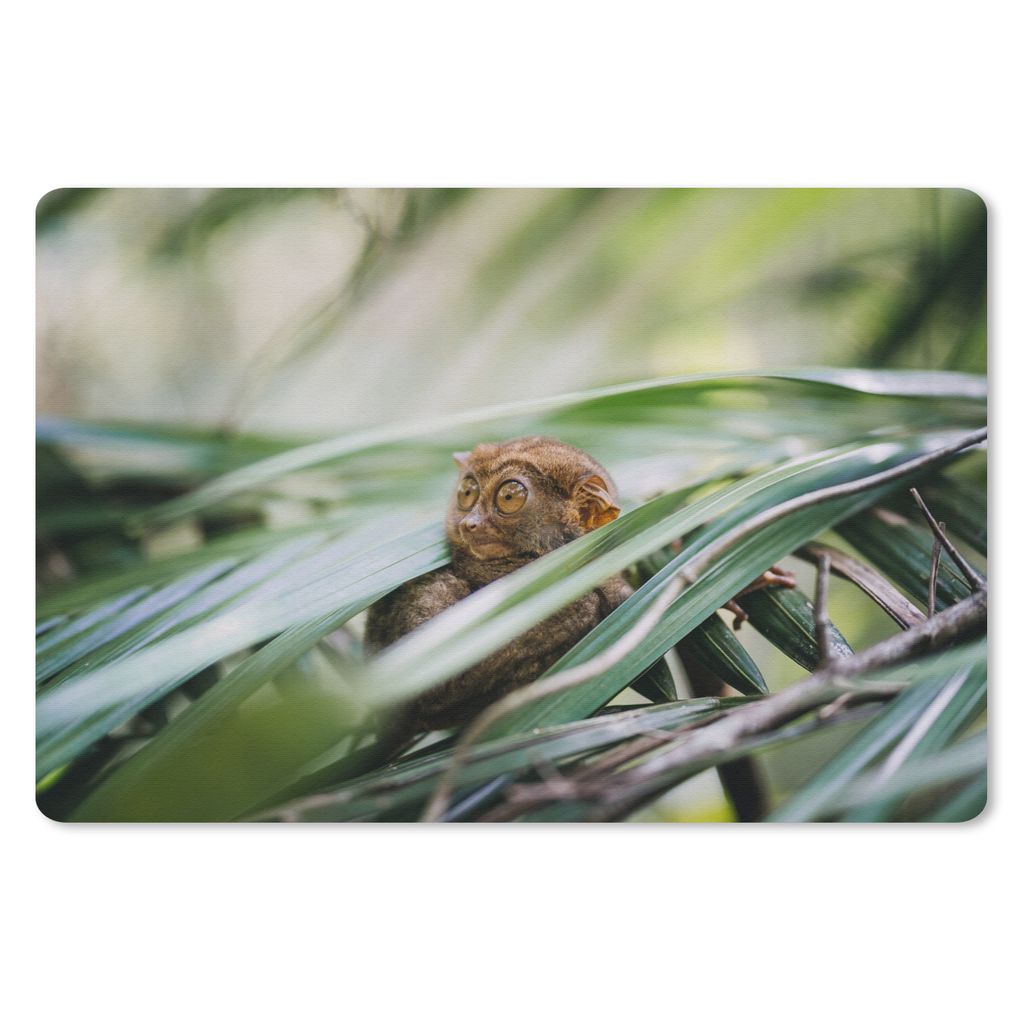 MuchoWow Mauspad Mousepad Philippinisches Geistertier inmitten der Blätter 27x18 cm - Mousepads - Maus Mat - Pad - Mausunterlage - Büroartikel ...
