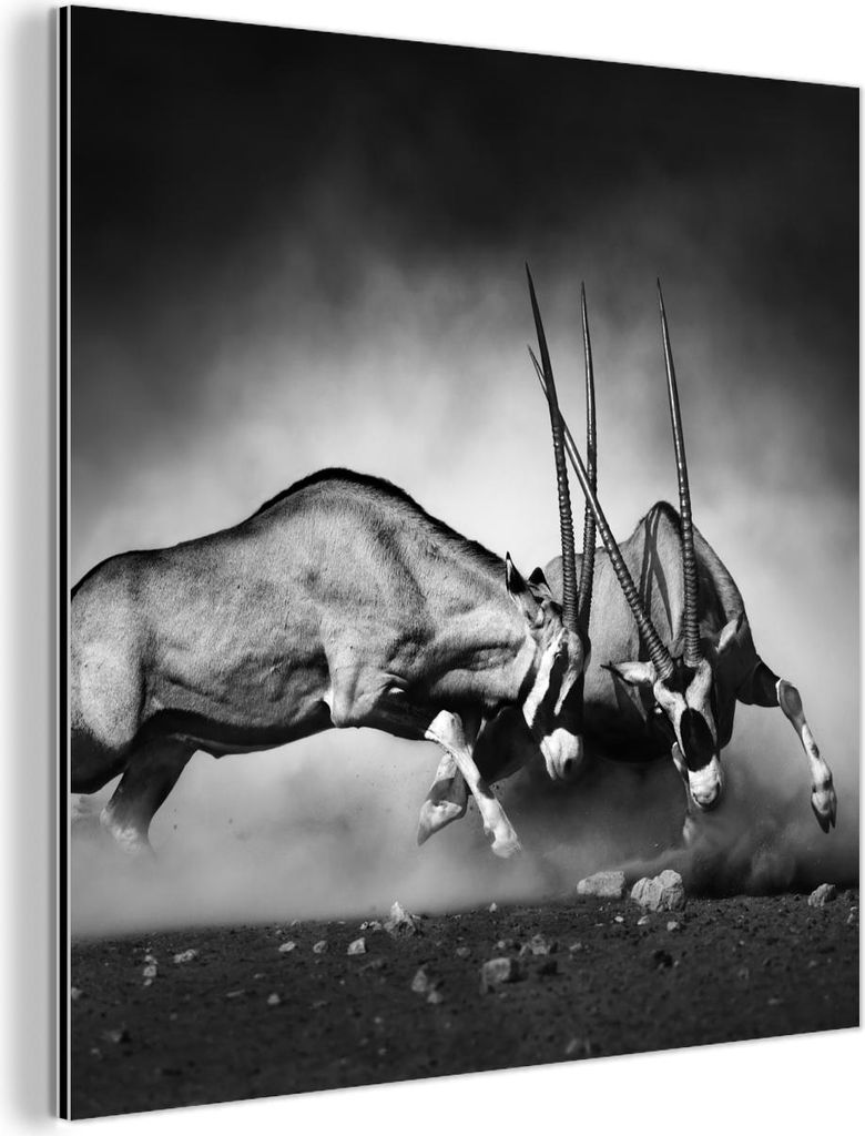 MuchoWow Wanddekoration Metall Metallbild Wandkunst 90x90 cm Antilope - Schwarz und weiß - Porträt - Wildtiere - Tiere MuchoWow Aluminium Gemäld...