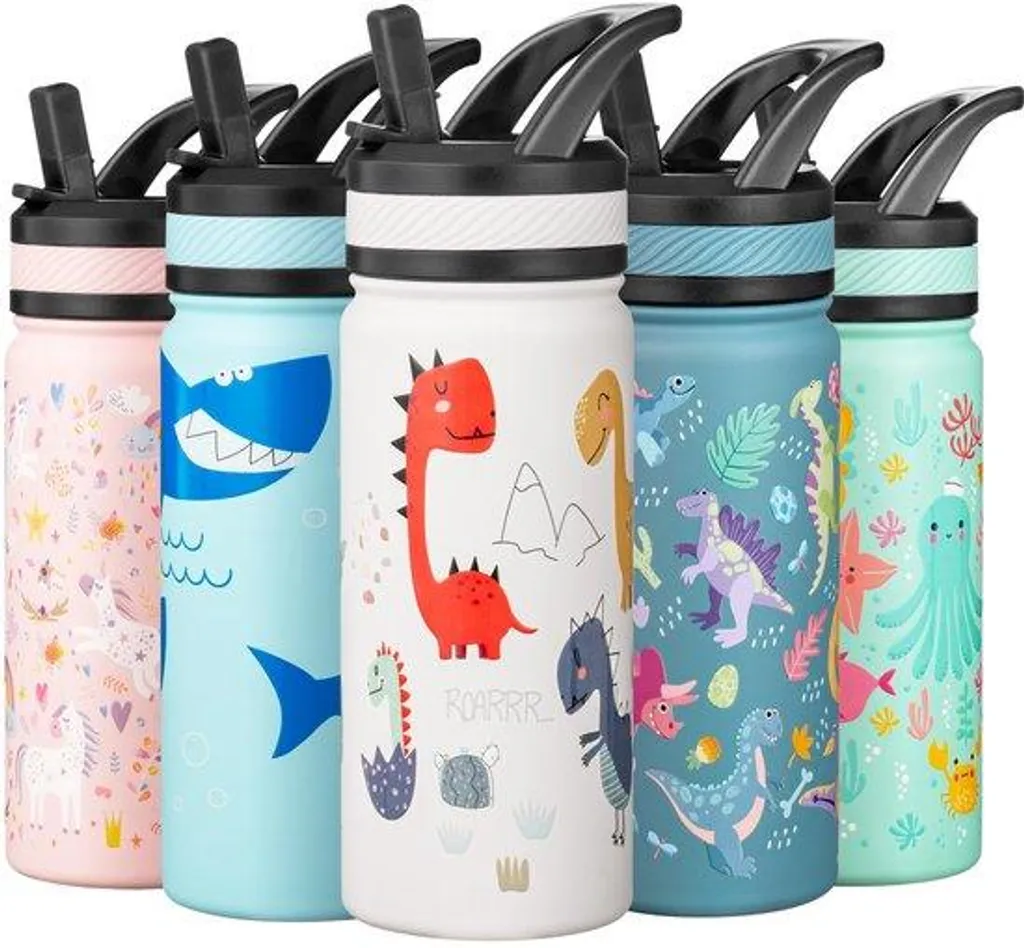 Gourde Inox Enfant 550ml Sans BPA Anti-fuites avec Motif Dinosaures