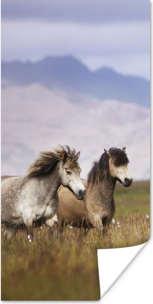MuchoWow Poster Pferde - Gras - Berge 60x120 cm - Wandschmuck