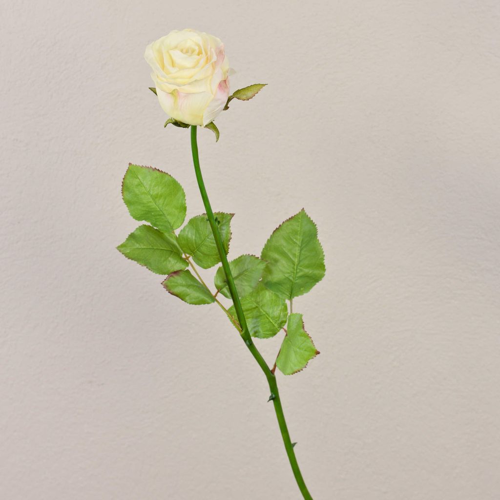 artplants.de Künstliche Rose Ophelie, Creme-rosa, 85cm, Ø7cm - Kunst Rose