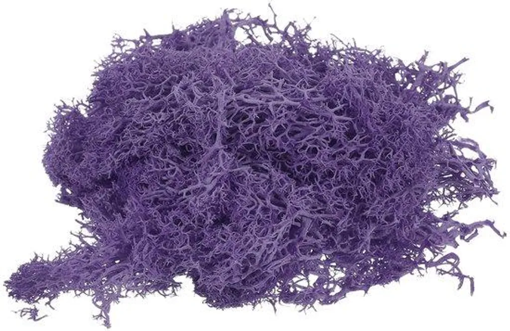 Mousse artificielle ultra réaliste pour décor de terrariums 2 x 10g