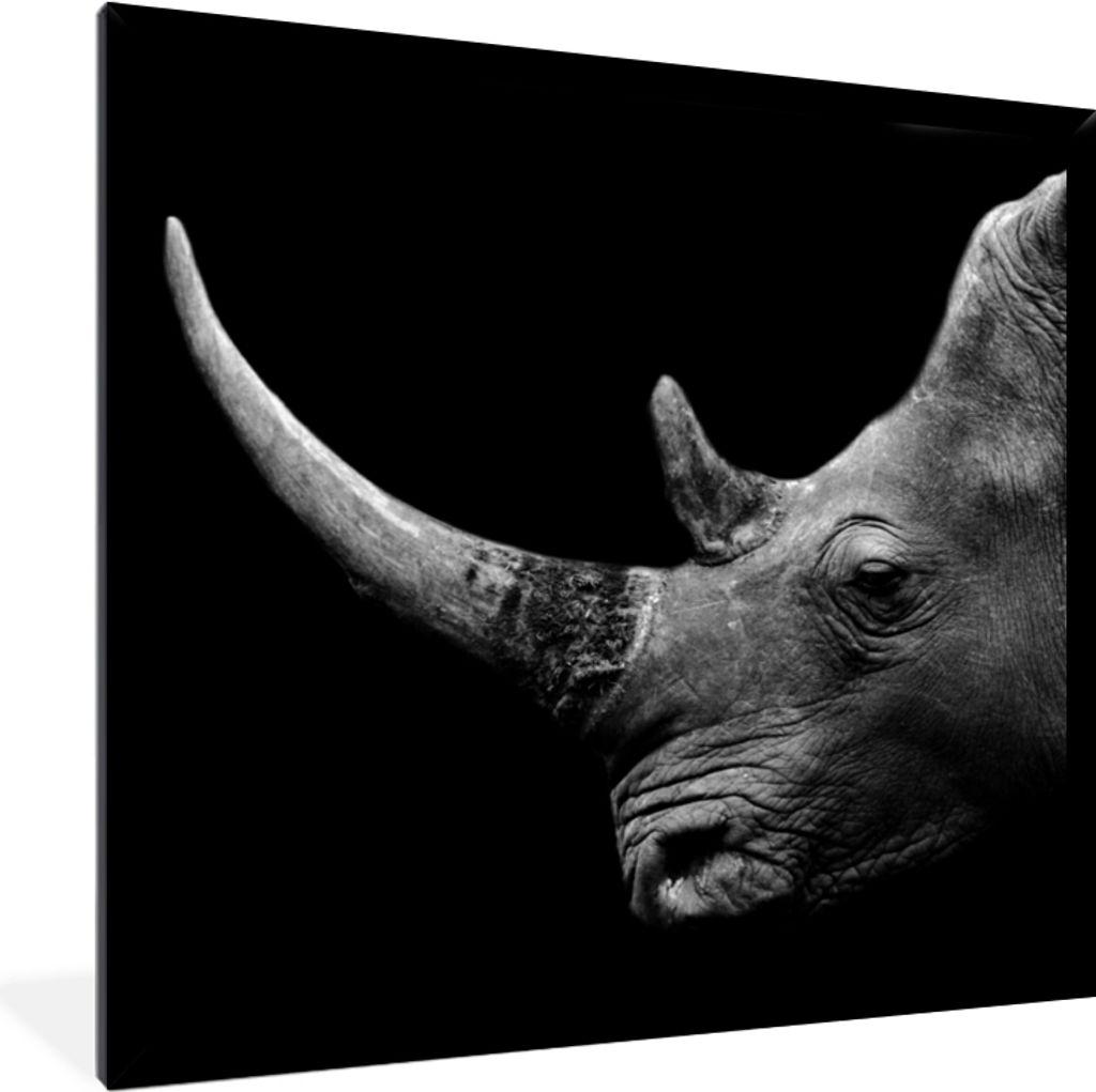 MuchoWow Gerahmtes Poster Nashorn - Tiere - Schwarz - Weiß - Porträt 40x40 cm - Poster mit Schwarzem Bilderrahmen Wandposter Rahmen Foto Bilder...