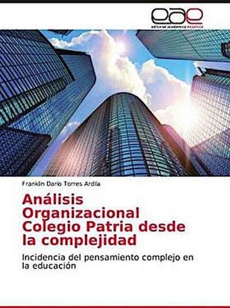 Organisationsanalyse Colegio Patria aus der Perspektive der Komplexität