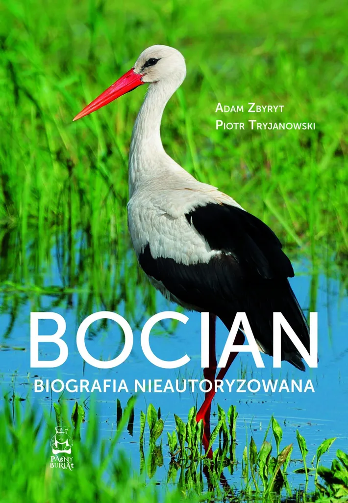 Biographie Stork : Livre Enquête sur les Secrets de ce Leader Mondial