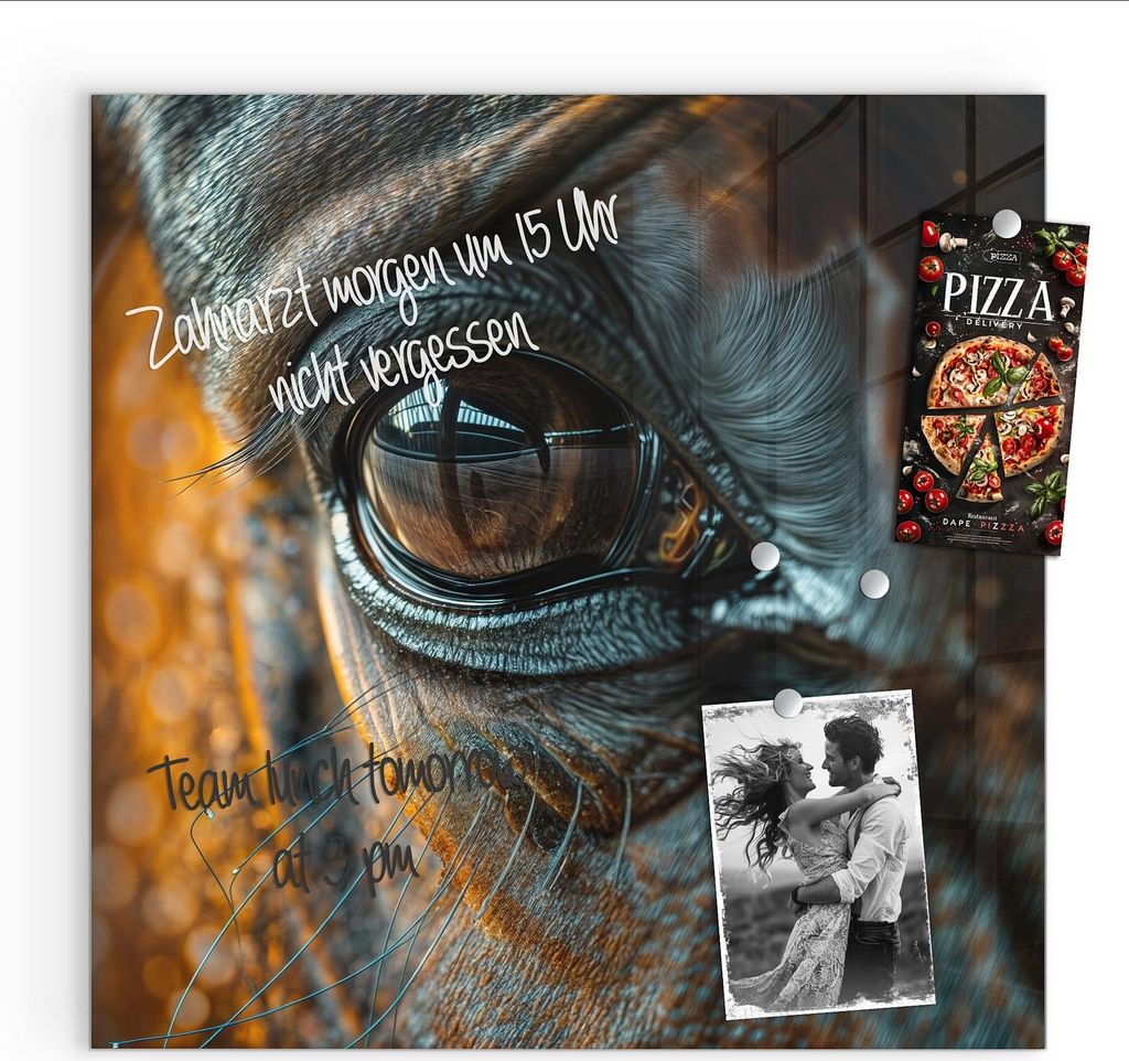 Magnettafel 50x50cm Pinnwand Whiteboard beschreibbar - Pferdeauge