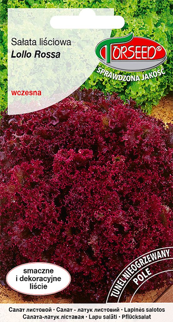 Saatgut Blattsalat (Feldanbau) Lollo Rossa 0.5g - Torseed