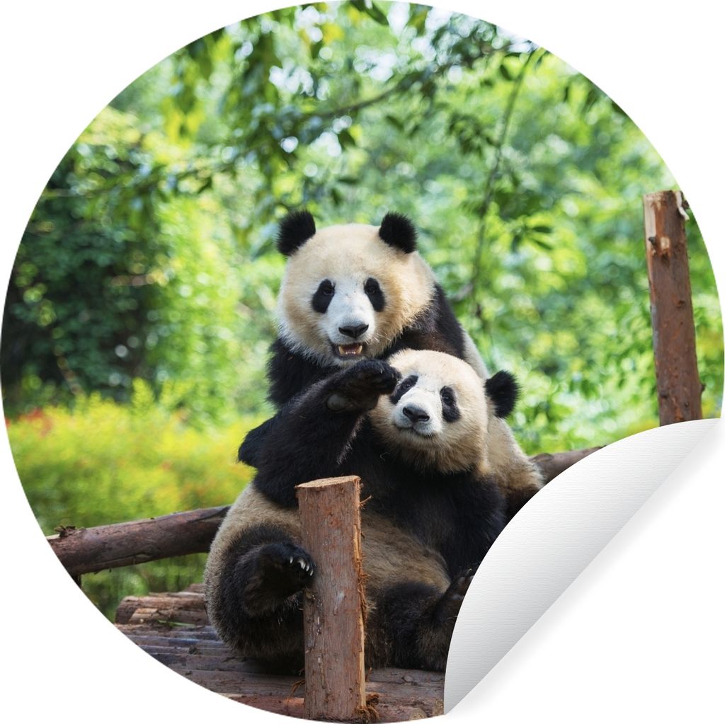 MuchoWow Runde Wandtattoo - Wandsticker Tapete Aufkleber Bären - Panda - Holz Ø 50 cm Selbstklebend und Repositionierbar - Wandaufkleber - Krei...