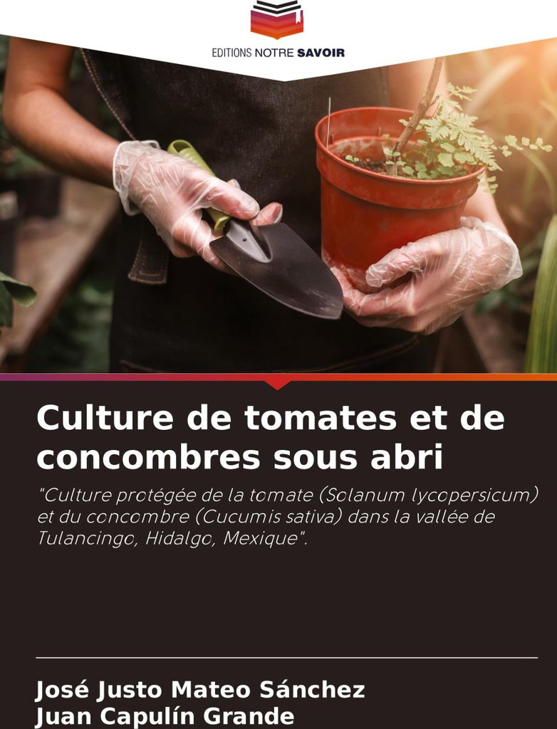 Culture de tomates et de concombres sous abri