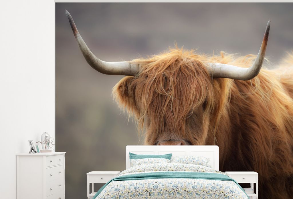 MuchoWow Fototapete für Wohnzimmer oder Schlafzimmer Wandtapete Vinyl Motivtapete Schottischer Highlander - Hörner - Haare - 375x300 cm - Tapez...