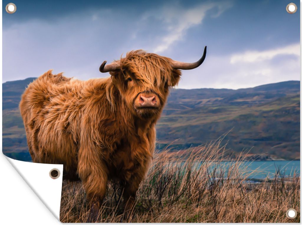 MuchoWow 80x60 cm Outdoor-Poster Gartendeko Sichtschutz Garten Poster für den Garten Schottische Highlander - Himmel - Natur