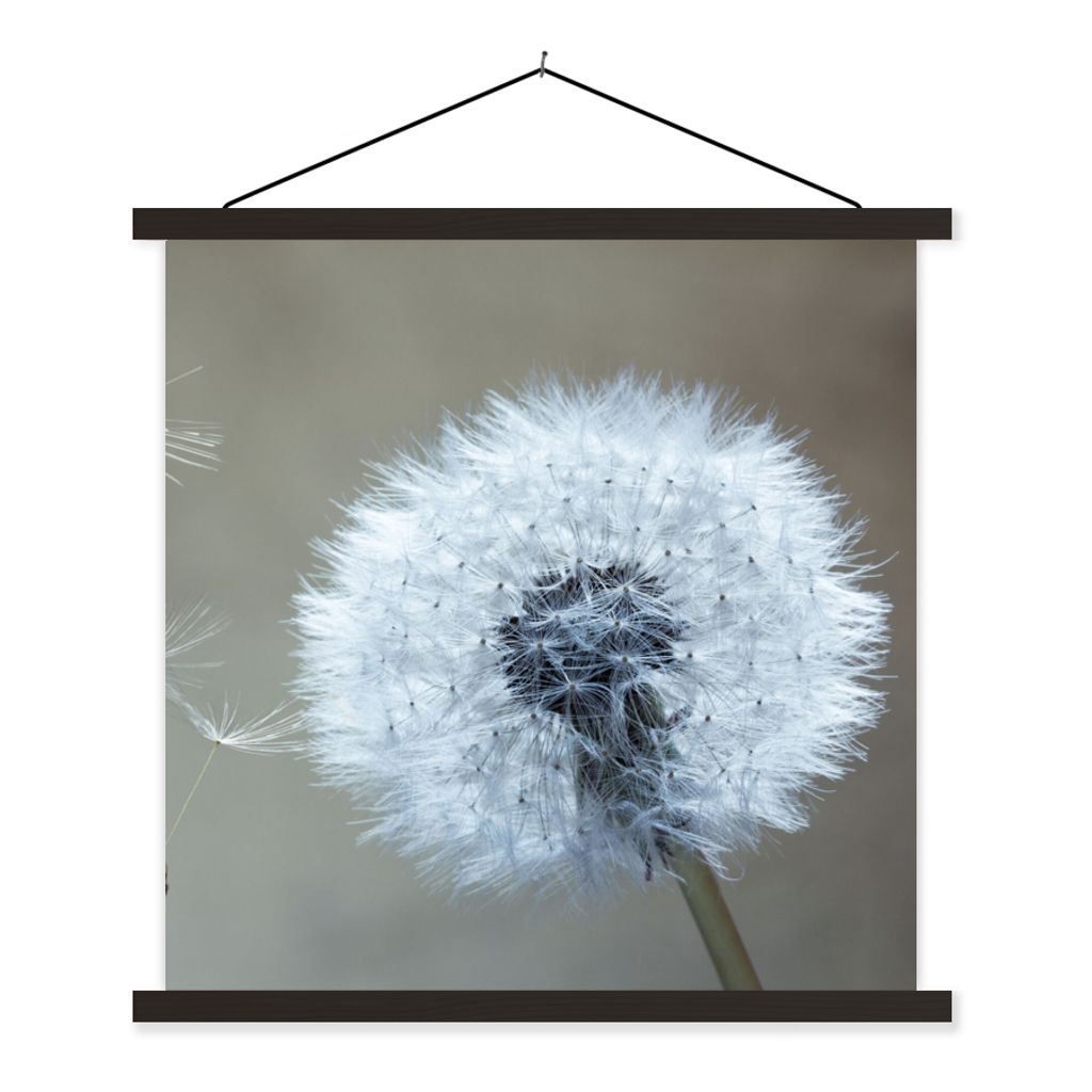 MuchoWow Textilposter Löwenzahn - Blume - Pflanze 60x60 cm mit schwarzem Rahmen - Posteraufhänger