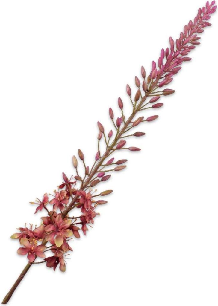 Silk-ka Kunstblume - Seidenblume Eremurus Stiel Lachs-Grün 107 cm