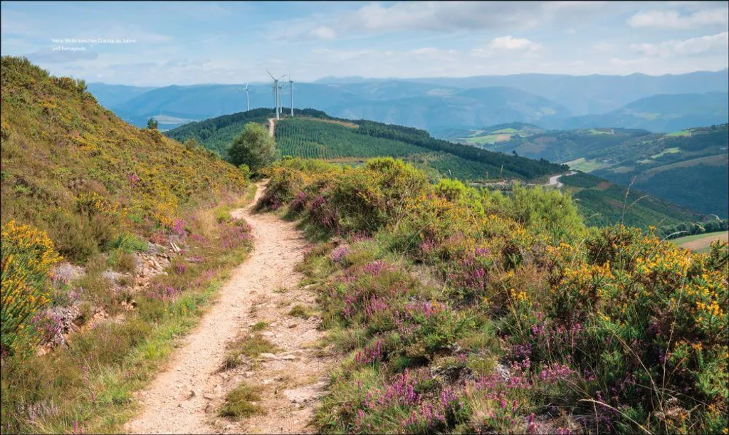 Ne ratez rien du Chemin de Compostelle : 100 points clés Espagne