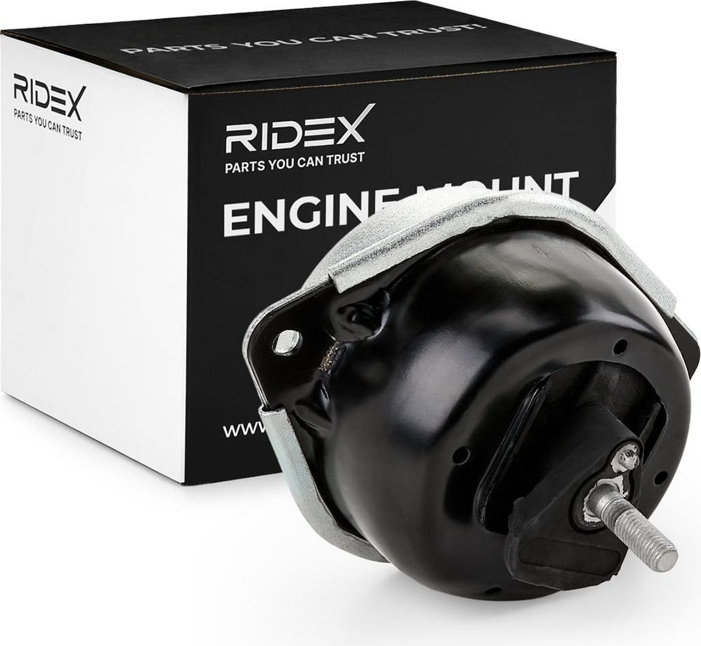 RIDEX Motorlager Hydrolager Rechts für RENAULT CLIO II (BB0/1/2, CB0/1/2) 247E0151