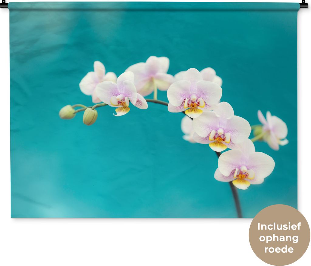 MuchoWow Wandteppich Wandbehang Orchidee - Blumen - Pflanze - Weiß - Lila 150x112 cm Tapisserie Dekoration Wandtuch - Wanddecke - Wandteppiche