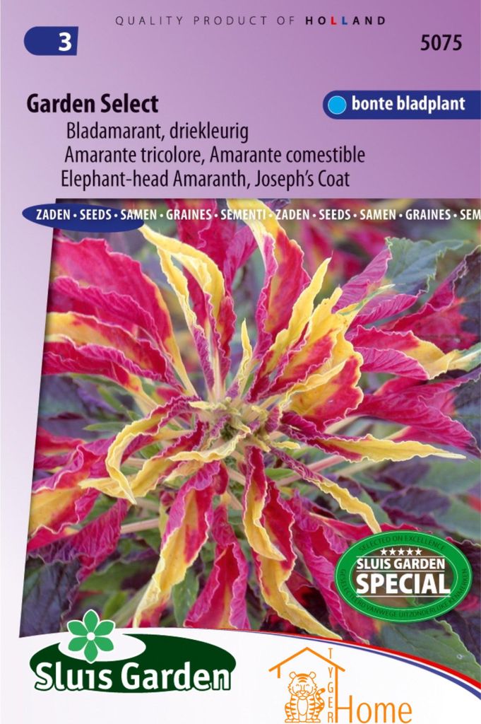 Graines Garden Select Leaf Amaranth Tricolor – haute Image du produit 