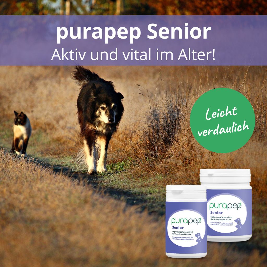 Fresco Ochsenziemerkaustangen 25cm - Natürliche Hundesnacks Aus Rinderkopfhaut