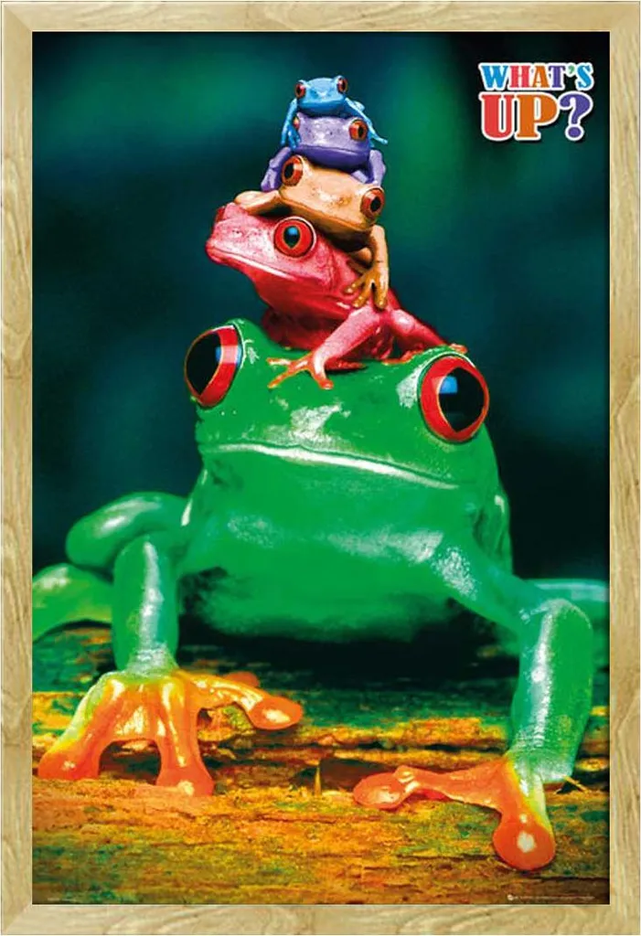 Poster Rane Colorate per Cameretta - Cornice Shinsuke Faggio Sicura