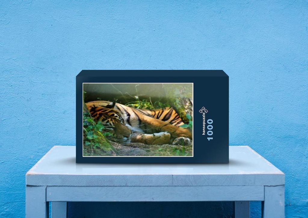 hansepuzzle 83454 - Tiger Puzzle, 1000 Teile, Tierwelt, 60,0 x 46,0cm mit hochwertiger Aufbewahrung, Kartonbox und wiederverschließbarem Beutel