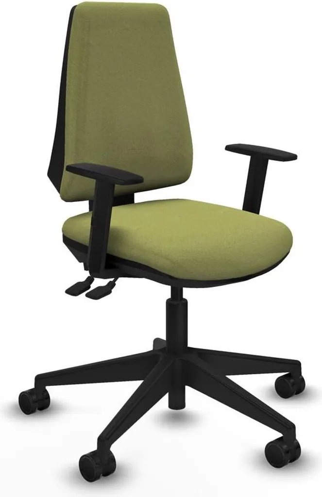 Évitez le mal de dos avec la chaise Piqueras y Crespo B1D066N vert pro