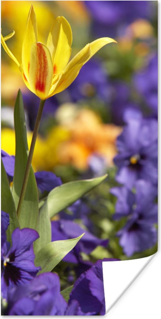 MuchoWow Poster Frühling - Blumen - Farben 40x80 cm - Dekoration