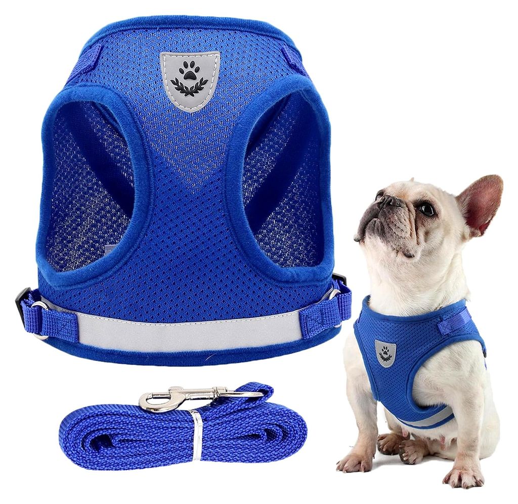 Hundegeschirr und Leine Set für kleine Hunde, reflektierendes Step-in-Welpengeschirr mit gepolsterter Weste, XS