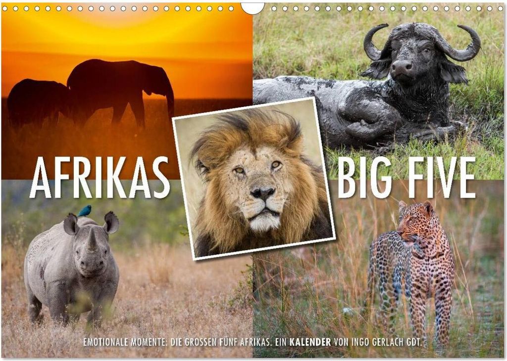 Emotionale Momente: Afrikas Big Five (Wandkalender 2026 DIN A3 quer), CALVENDO Monatskalender