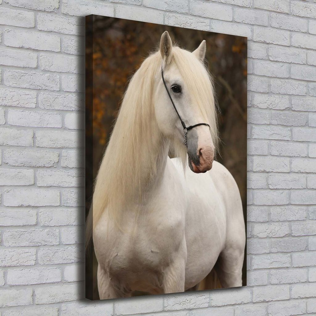 Tulup Leinwandbild - 70x100cm - Wandkunst - Drucke auf Leinwand - Leinwanddruck - Wohnzimmer Wanddekoration XXL - Wohnung Deko Kunstdrucke - Tier...