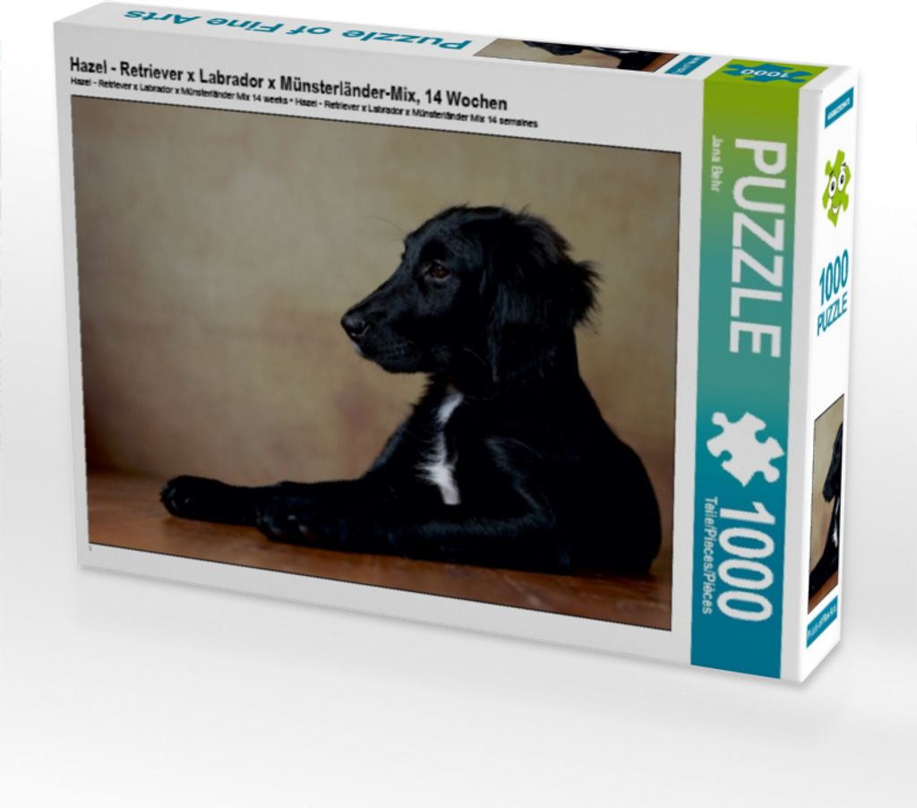 Calvendo Hazel - Retriever x Labrador x Münsterländer-Mix, 14 Wochen 1000 Teile Puzzle quer 640x480mm, Behr Jana; 7340721