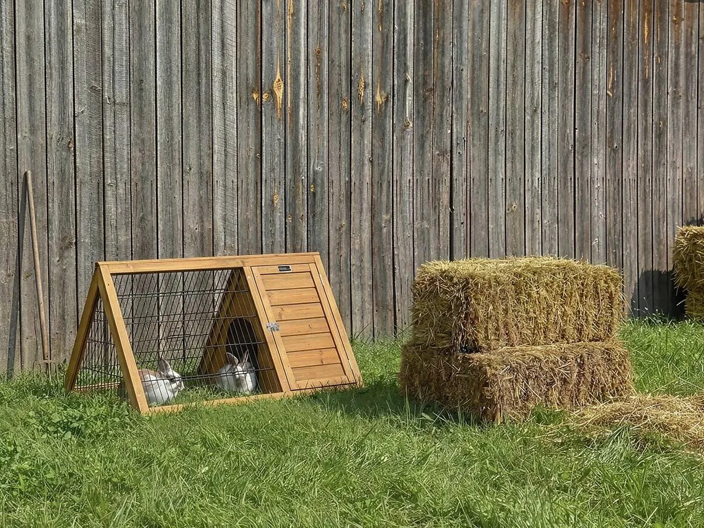 Clapier extérieur pour lapin et rongeur Biscotte, bois marron 100 cm