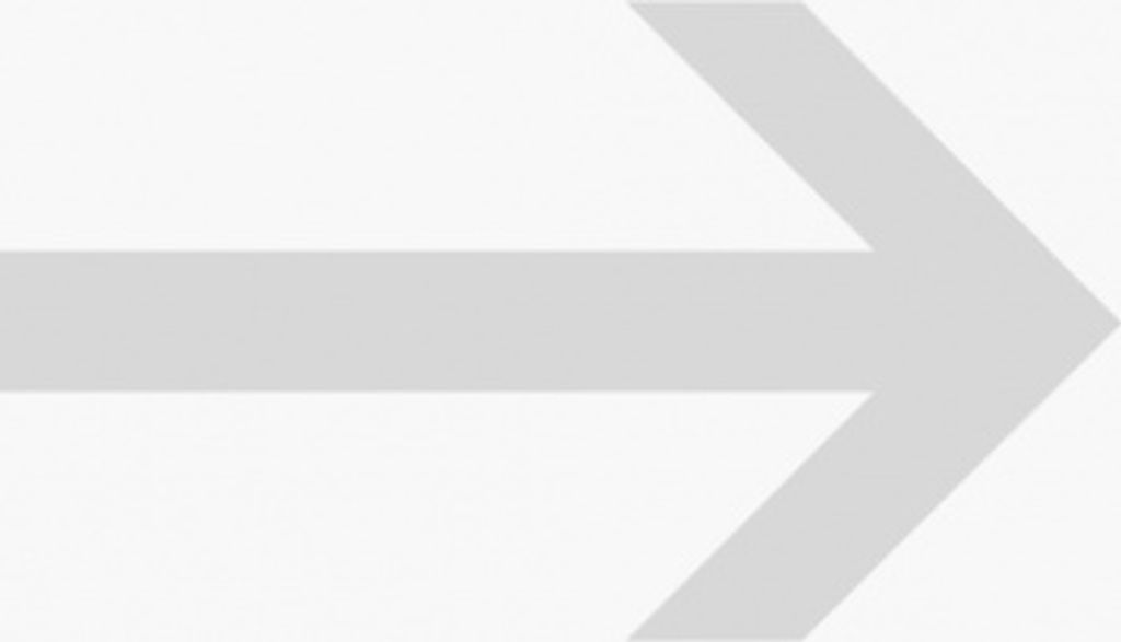 Dreifke Verkehrszeichen - Richtungspfeil für Halt-und Parkverbot | Folie sel...