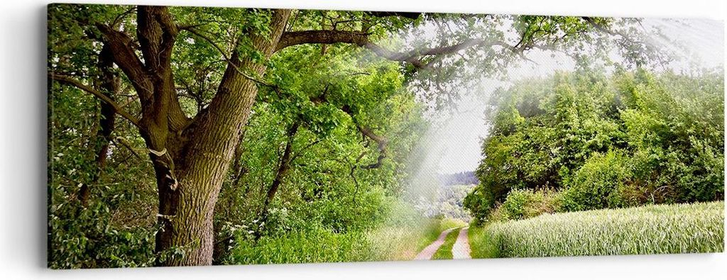 Bild auf Leinwand - Leinwandbild - Pfad Natur Wald Grün - 90x30cm - Wand Bild - Wanddeko - Leinwanddruck - Bilder - Kunstdruck - Wanddekoration - ...