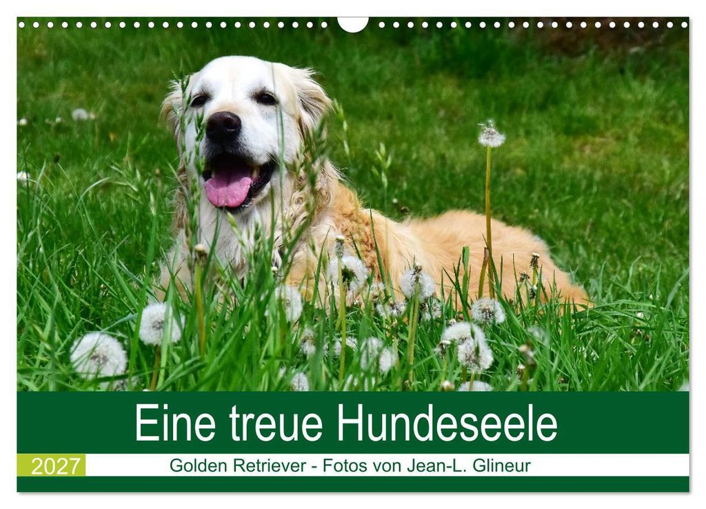 Eine treue Hundeseele - Golden Retriever (Wandkalender 2027 DIN A3 quer), CALVENDO Monatskalender