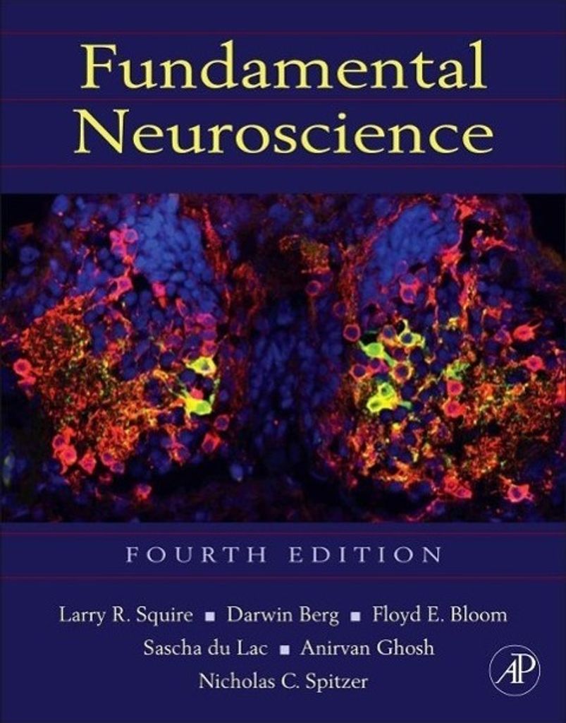 Fundamental Neuroscience