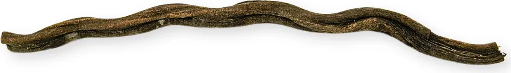 OFFERTA Liana Brasiliana Terrario 50cm - Marrone Scuro Robusta - 3