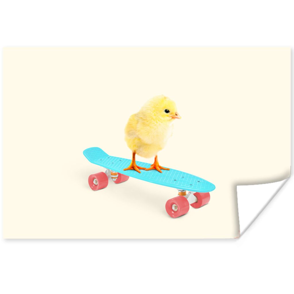 MuchoWow Poster Küken - Gelb - Skateboard - Blau - Tiere 90x60 cm - Schlafzimmer