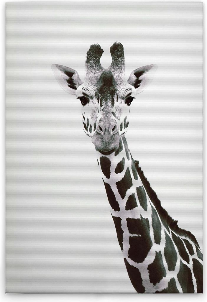 TADESSI Leinwandbild Tiere Giraffe - Wandbild 30 x 45 cm - Kunstdruck auf Leinwand in Schwarz Weiß - M1-No.51126