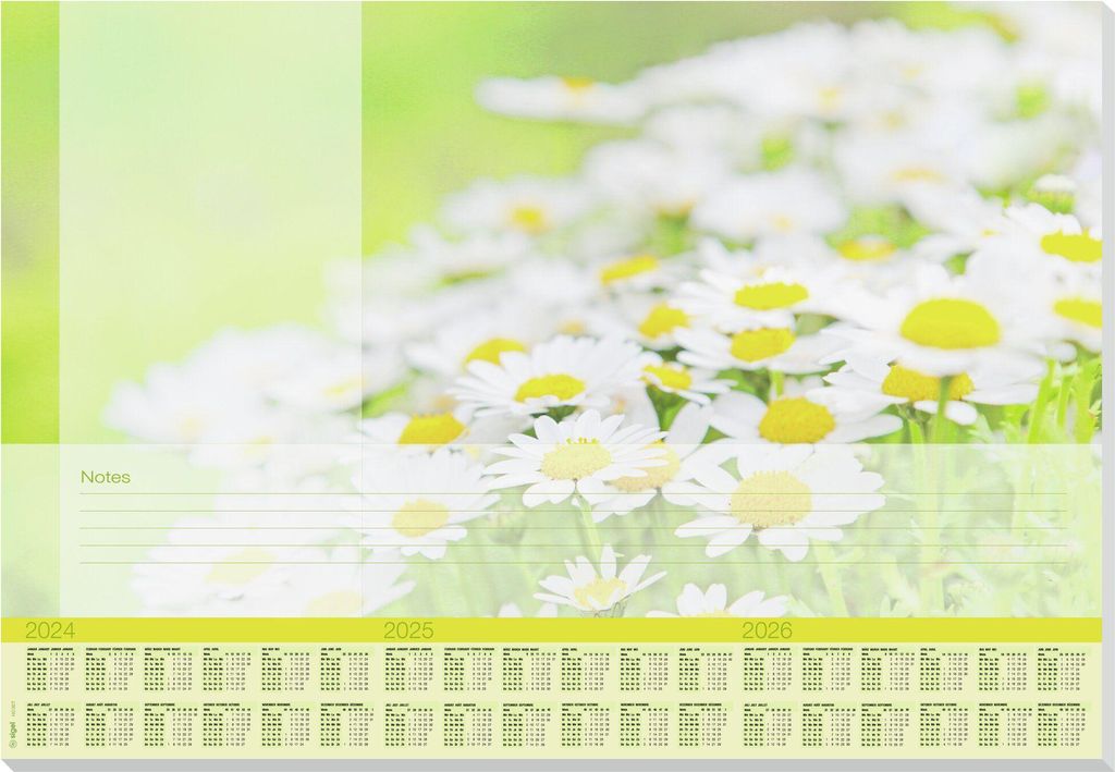 SIGEL HO307 Papier-Schreibunterlage Design "Lovely Daisies" - ca. A2 - Kalendarium für 3 Jahre - 30 Blatt
