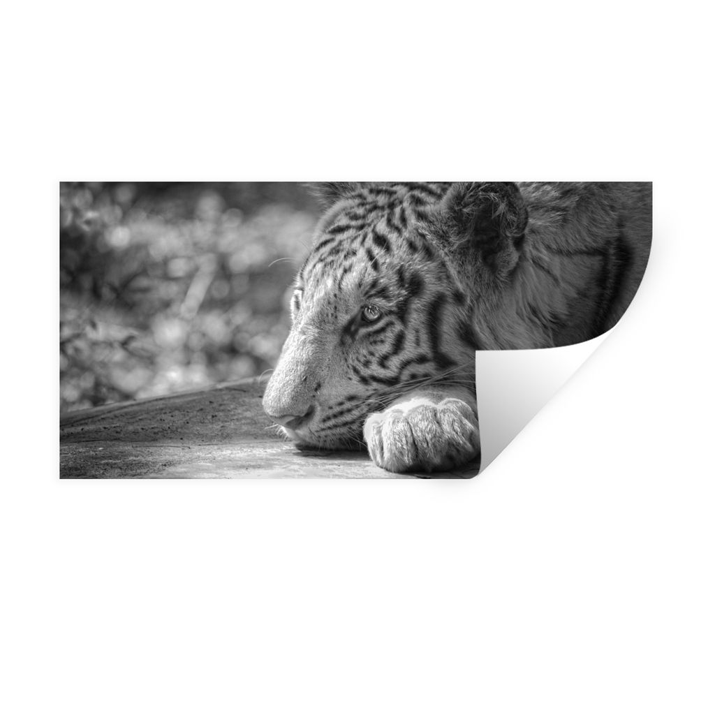 MuchoWow Wandtattoo Wandsticker Wandaufkleber Tiger - Wild - Porträt 40x20 cm Selbstklebend und Repositionierbar - Aufkleber