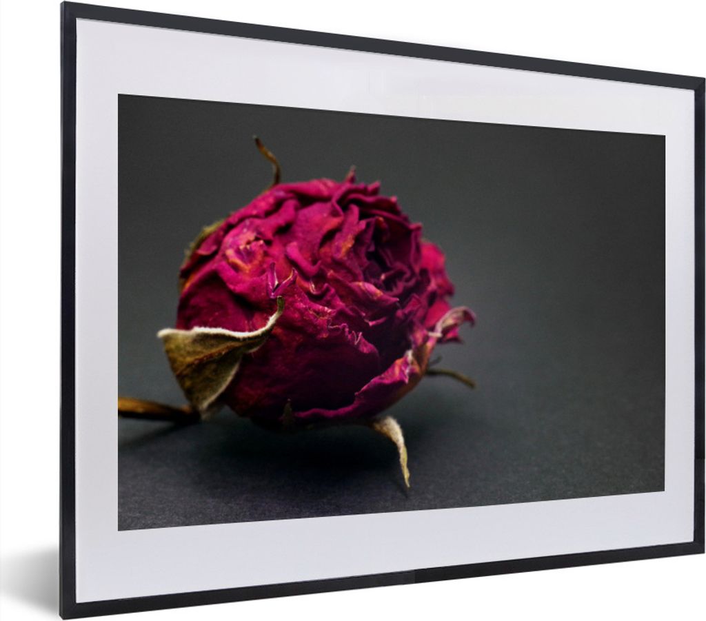 MuchoWow MuchoWow Gerahmtes Poster Rosen - Farbton - Rot 40x30 cm - Poster mit zchwarzem Bilderrahmen - Bilderrahmen - Poster im Rahmen